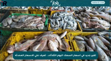 تغير جديد في أسعار السمك اليوم الثلاثاء.. تعرف على الأسعار المحدثة